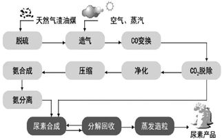 粮食的 粮食 尿素