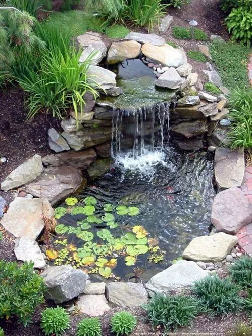 后院要有一个水池,不需要太大,先有一个就好