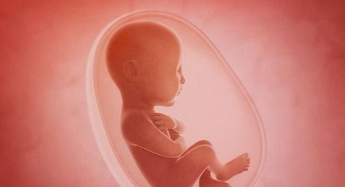 孕期这个月份很重要,胎儿容易发生畸形,孕妇要提前预防