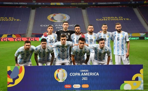 美洲杯决赛回放巴西VS阿根廷(巴西vs美洲杯)