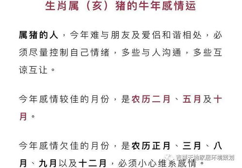 2021牛年十二生肖 全解析 宋韶光独家开运秘籍