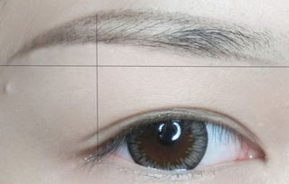 教你四种简单实用又自然漂亮的眉毛画法