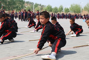 少林武术学校(哪里有少林寺武术学校) 