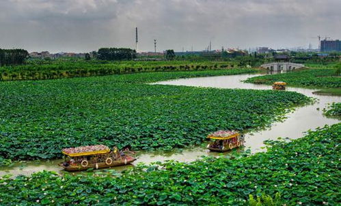 华阳湖湿地公园在哪里,怎么坐车(华阳有免费停车场吗多少钱)