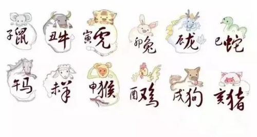 马姓属牛男孩名字