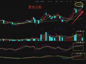 神火股份（000933）近期短线如何？