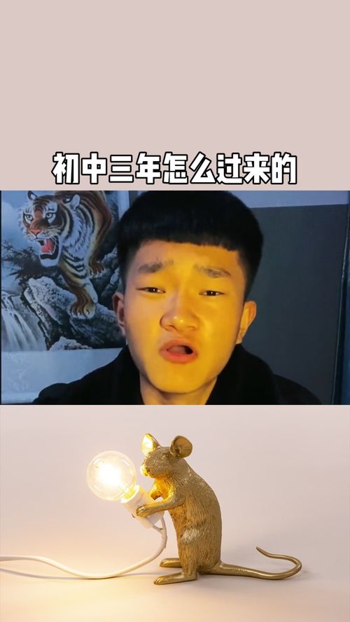 还记得你初中三年是怎么过来的吗 