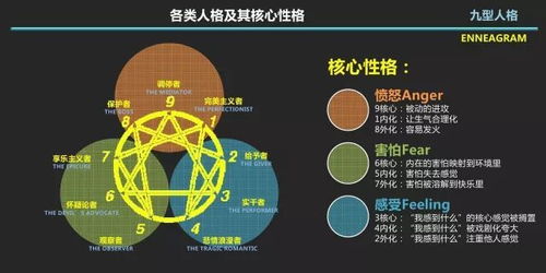 性格成就人生 九型人格与自我修炼工作坊 