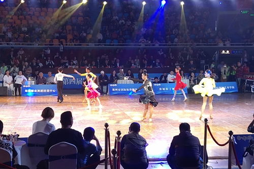 第四届中国 郑州国际标准舞全国公开赛开幕 世界巨星激情献艺