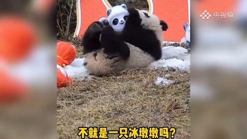 当熊猫遇上冰墩墩 