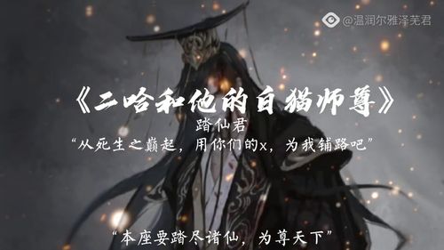 二哈和他的白猫师尊 墨燃 原耽 踏仙帝君.墨燃墨微雨 狗子好帅 