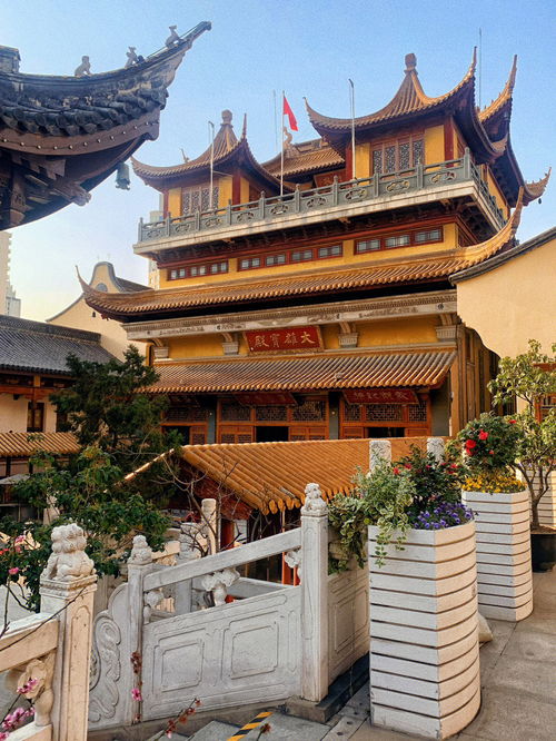 上海市中心藏着一座小众寺庙真的蛮灵的 