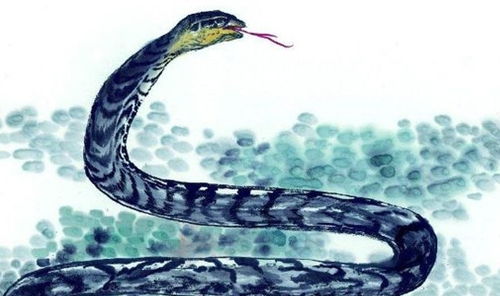 不同季节出生的属蛇的人性格 命运详细分析,身边有属蛇人请转发