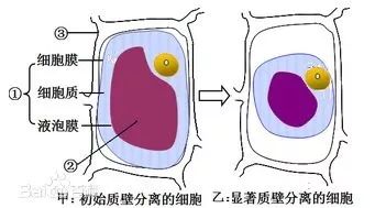 图书馆期末使用不完全指南