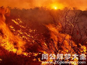 梦见火烧山是什么意思 梦到火烧山好不好 大鱼解梦网 