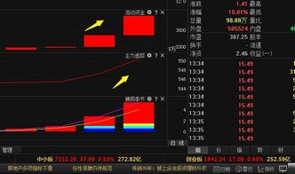 600797浙大网新,明天能继续上涨吗?