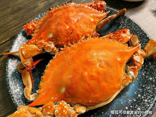 这个季节,吃母蟹还是公蟹 都不是,渔民 好吃的是这种螃蟹
