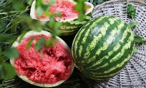 西瓜和桃子一起吃会中毒 夏天吃西瓜,真正要注意的是这一点