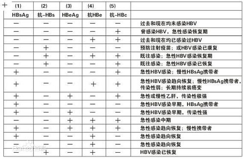 乙肝哪一项正常了才能办健康证 健康证主要检查肝功还是什么 