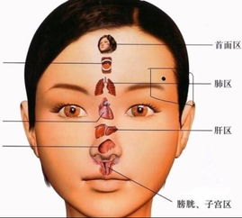 女人眉尾右上角有颗志代表什么 有图片提示 用框框住了那个黑点 我生日阴历是1991.11.20 是什么星座什么性格 