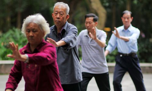 从东北到海南,从海南到两广,是什么让东北老人执着 迁徙