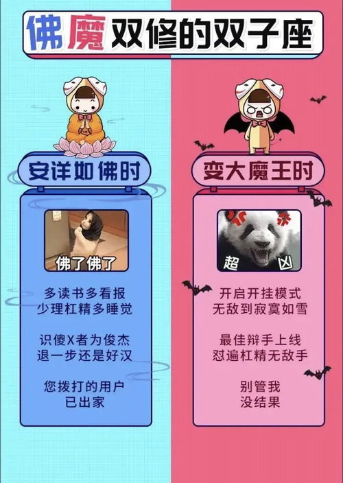 十二星座 小猫咪 和 大老虎 的时候都是什么样子的