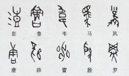 中国从古至今都有哪些字体 