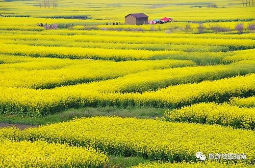 泰州有什么地方好玩 到泰州旅游千万不要错过这些景点