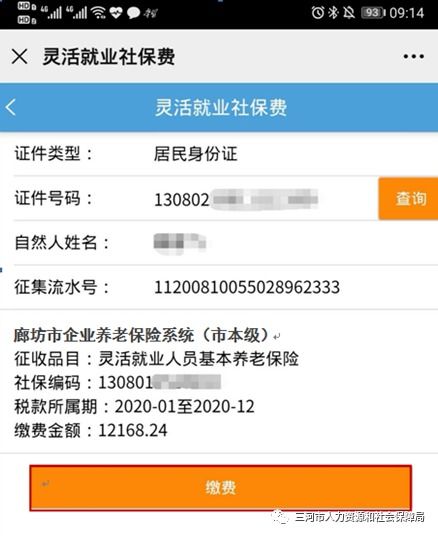 灵活就业养老保险手机上怎么缴费(手机上灵活就业养老保险怎么交)