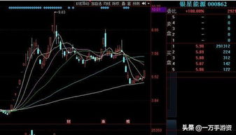 新能源龙头是哪只股票