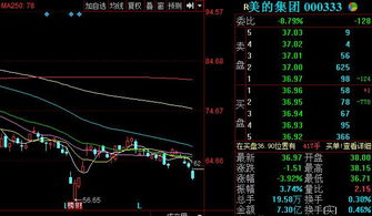 美的集团股票（000333）为什么在4月29日宊然从40几元多下跌到17元多呢？