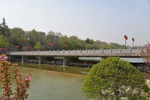 青州原来有这么多桥 带你走入梦里水乡