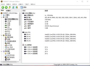 everest绿色版v4.60