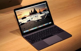 老macbook怎么升级win10吗