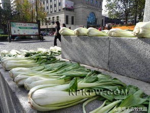 怎样洗菜最干净 