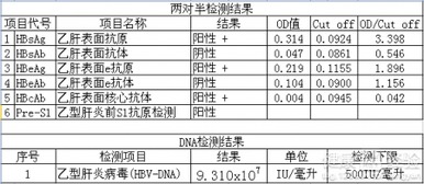 乙肝两对半要检查一些什么呢？一个朋友去公司面试，由于是乙肝病毒携带者所以公司要他再做一个乙肝两对半