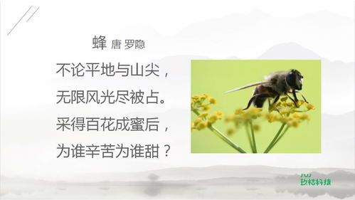 关于黄蜂的诗句古诗