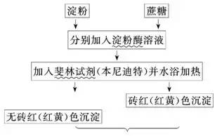 搜狐公众平台 每日一讲 细胞的代谢 