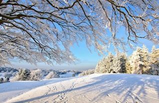 2017国外冬天去哪里玩雪比较合适 2017国外冬天雪景最美的地方推荐