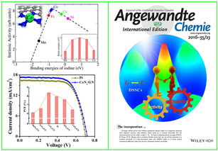 DICP Researchers Find Graphene Confined CoN4 Structure Possesses Activity and Stability Double optimum in Catalyzing Reaction