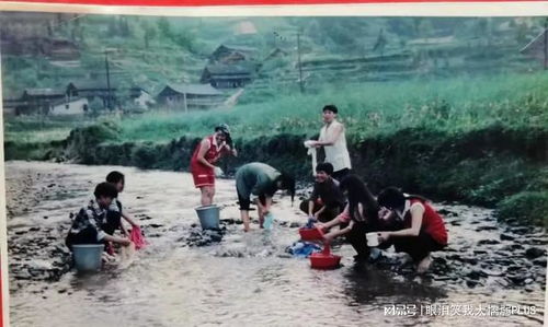 疯狗女人 女人家 惨叫声 全村人 网易订阅 