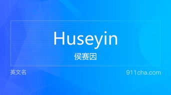 英文名Huseyin 的意思 性别含义寓意及印象是什么 英文名 911查询 