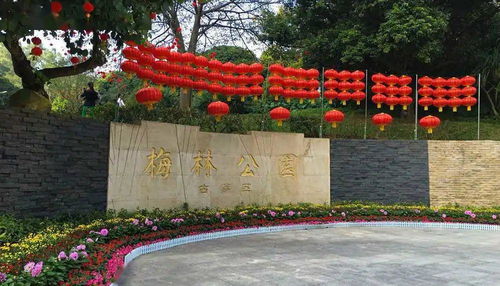 最新 深圳70 公园免费开放,可以玩一整年了 赶紧分享出去