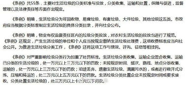 三分钟新闻 丨福州 个人未按规定分类投放生活垃圾最高罚款200元