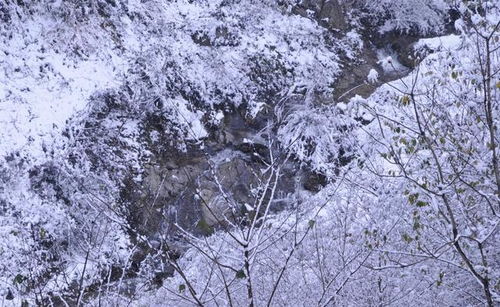 再一次被西安的雪景圈粉 子午峪雪景尤其美,不用开车走着就能看