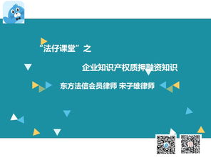 企业法务实规 知识产权质押融资详解