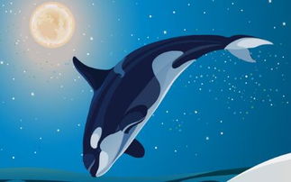 梦见庞大的鲸鱼是什么意思周公解梦(梦见超级大的鲸鱼)