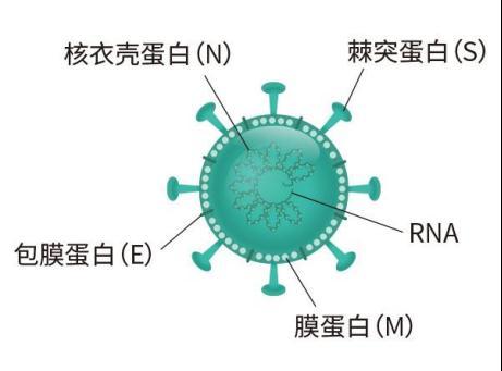 防疫科普 抗原检测试剂盒应如何使用 它和核酸检测有什么区别