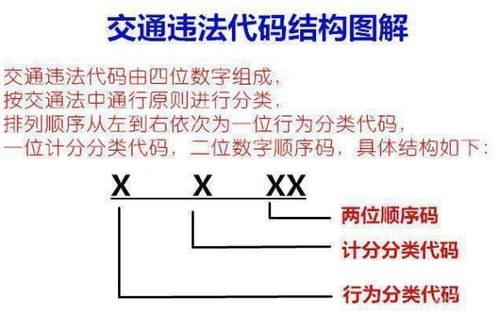 交通违章代码的每一位都代表什么意思 