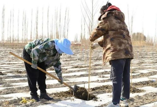 美丽连队和春天更配哦 看兵团人怎样扮靓家园